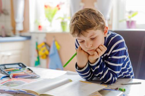 Setting up an effective homework environment Setting up an effective homework environment